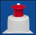 
Cap Push-Pull